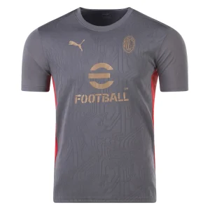 AC Milan 2024/25 Gray Training Jersey by Puma
