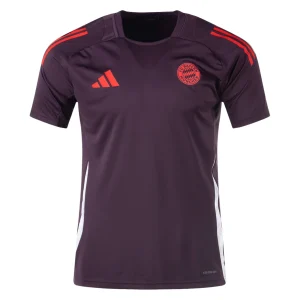 Bayern Munich 2024/25 Training Jersey