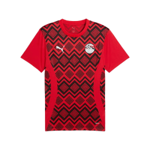 Egypt 2025 Pre-match Jersey by Puma