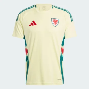 Wales 2024/25 Away Jersey