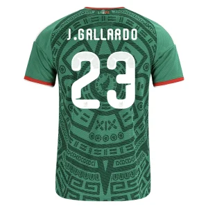 jesús gallardo mexico 26/27 home